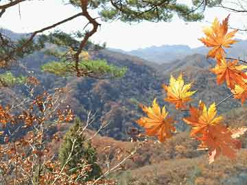 时光记录者，历史上的12月09日实时气温手表，记录时光中的温度变迁