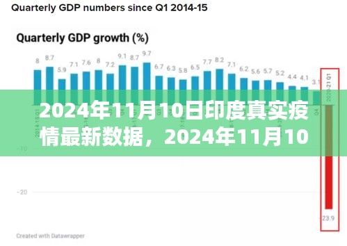 2024年11月10日印度疫情最新数据解析与应对指南，掌握疫情动态，科学防控