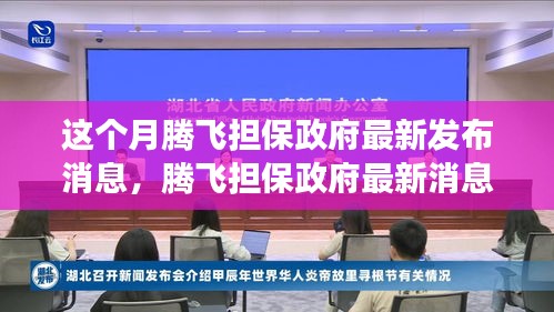 腾飞担保政府最新消息解读与操作指南，初学者与进阶用户必读指南