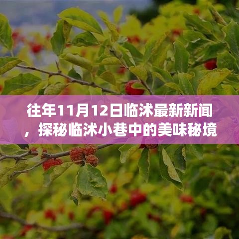 探秘临沭小巷美味秘境，11月12日临沭最新新闻中的隐藏美食店揭秘