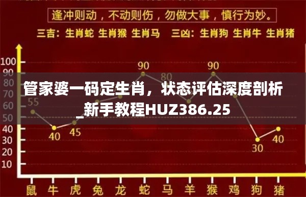 管家婆一码定生肖，状态评估深度剖析_新手教程HUZ386.25