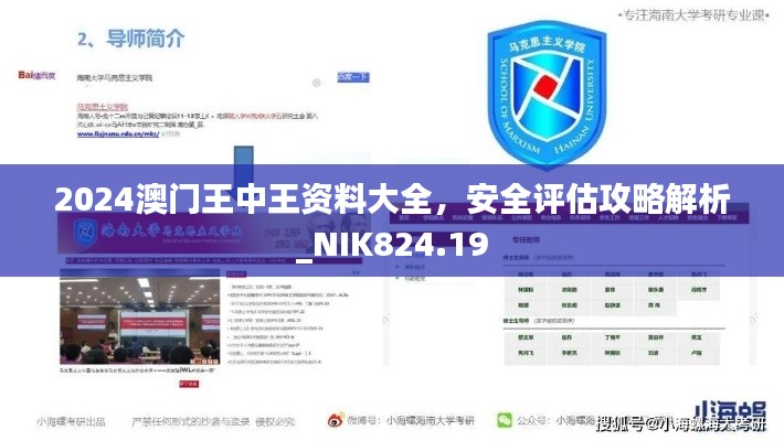 2024澳门王中王资料大全，安全评估攻略解析_NIK824.19