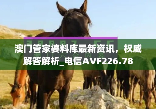 澳门管家婆料库最新资讯，权威解答解析_电信AVF226.78