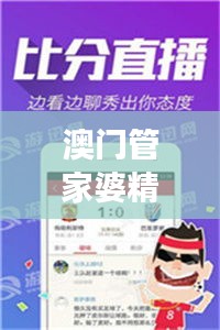 澳门管家婆精准数据宝典，详尽解读XHA355.26影音版