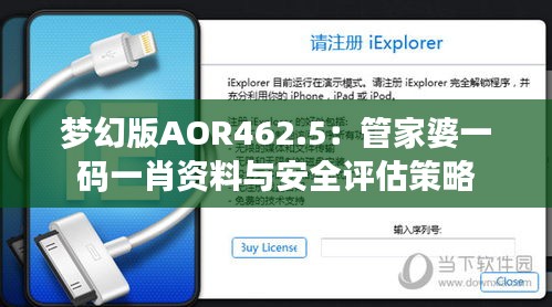 梦幻版AOR462.5：管家婆一码一肖资料与安全评估策略