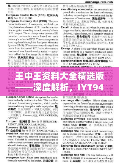 王中王资料大全精选版——深度解析，IYT948.53最新发布