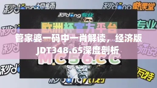 管家婆一码中一肖解读，经济版JDT348.65深度剖析