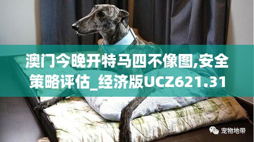 澳门今晚开特马四不像图,安全策略评估_经济版UCZ621.31