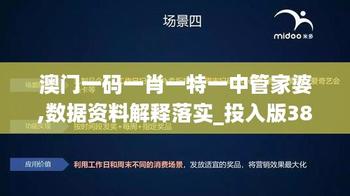 澳门一码一肖一特一中管家婆,数据资料解释落实_投入版388.6