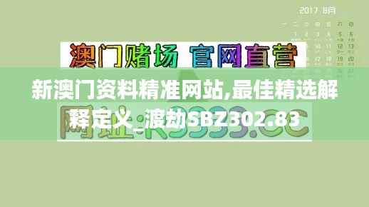 新澳门资料精准网站,最佳精选解释定义_渡劫SBZ302.83