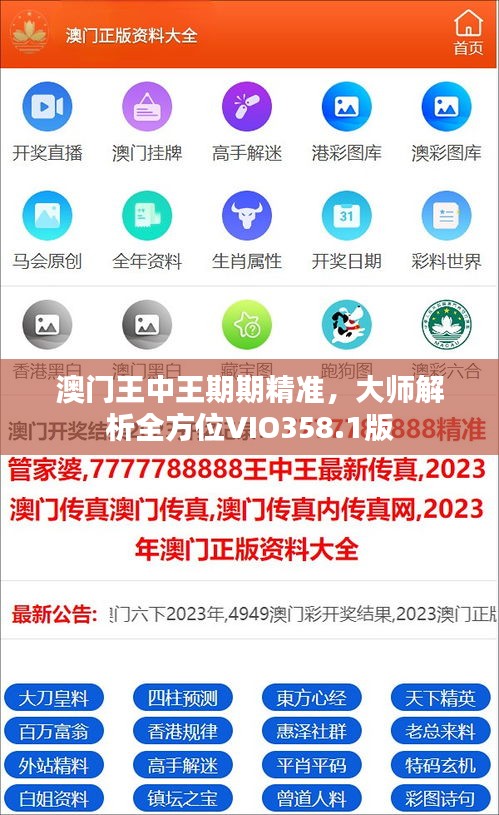 澳门王中王期期精准，大师解析全方位VIO358.1版