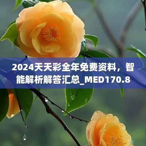 2024天天彩全年免费资料，智能解析解答汇总_MED170.88版