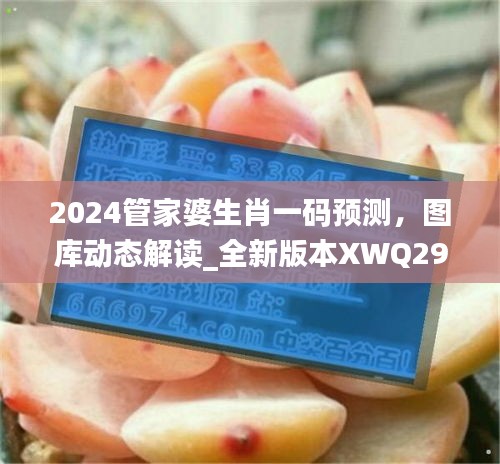 2024管家婆生肖一码预测，图库动态解读_全新版本XWQ290.47