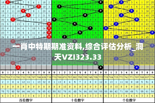 一肖中特期期准资料,综合评估分析_洞天VZI323.33