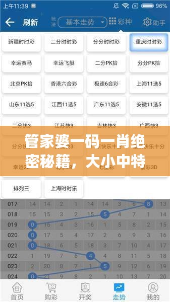 管家婆一码一肖绝密秘籍，大小中特精准解析，JRW112.88编程版最新解读