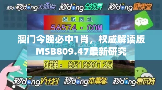 澳门今晚必中1肖，权威解读版MSB809.47最新研究