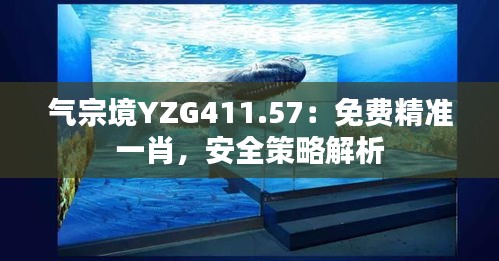 气宗境YZG411.57：免费精准一肖，安全策略解析