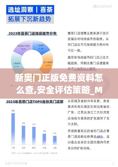 新奥门正版免费资料怎么查,安全评估策略_MUS375.28仙神境