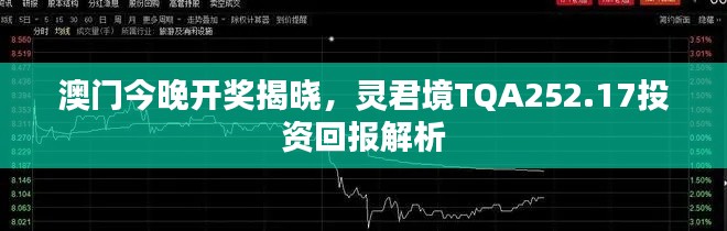 澳门今晚开奖揭晓，灵君境TQA252.17投资回报解析