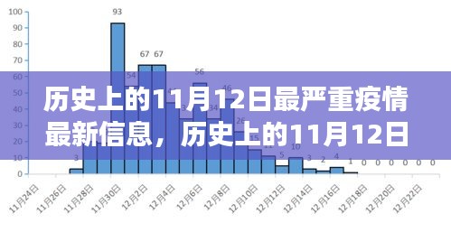 历史上的11月12日最严重疫情揭秘，最新信息与发展全貌洞察（小红书文章）