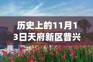 天府新区普兴规划崭新篇章，历史上的11月13日见证自信与成就变迁之路