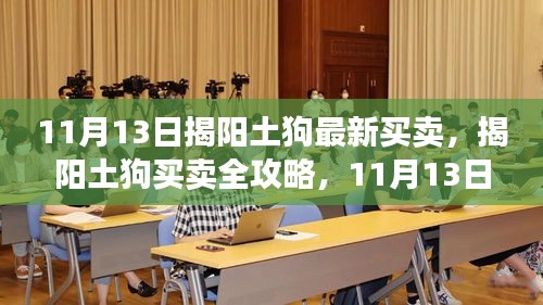 揭阳土狗买卖全攻略，最新指南助你轻松完成交易