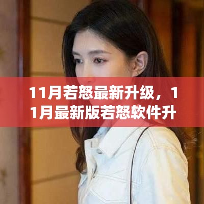 零基础步步为营，11月最新版若怒软件升级全攻略