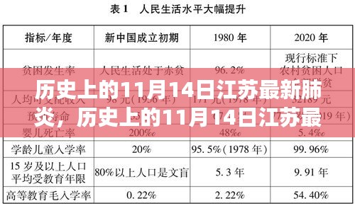 历史上的11月14日江苏最新肺炎事件深度解析，影响与启示