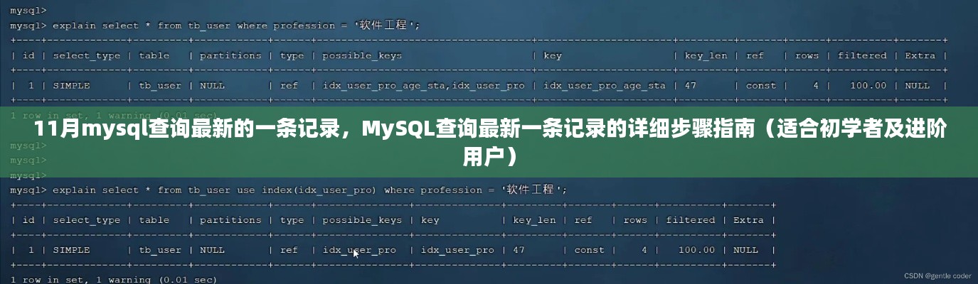 MySQL查询最新记录步骤详解，从初学者到进阶用户的指南