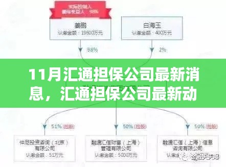 汇通担保公司最新动态解析及观点探析，11月最新消息速递