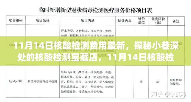 探秘核酸检测宝藏店，揭秘最新核酸检测费用新鲜事（11月14日更新）