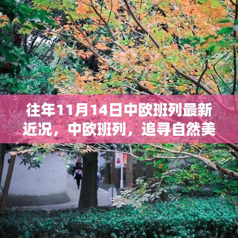 中欧班列秋日序曲，追寻自然美景与内心宁静之旅的最新近况