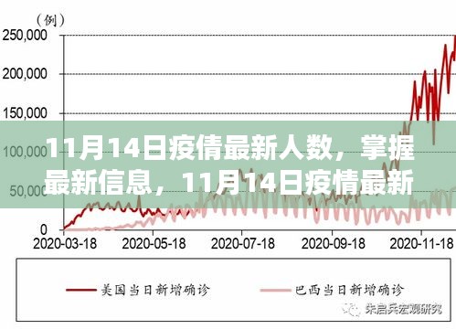 11月14日疫情最新人数查询指南，掌握最新信息