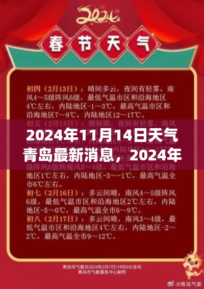 2024年11月14日青岛天气预报及气象分析，最新消息与预测