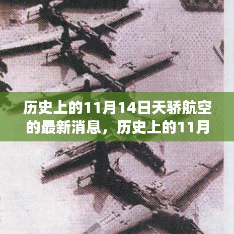 历史上的天骄航空，探寻自然美景与心灵宁静之旅的启程日——11月14日最新消息