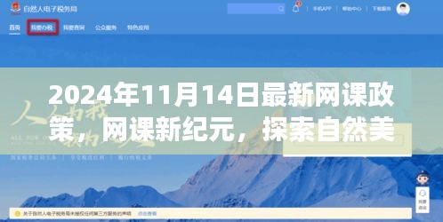 2024网课新纪元，探索自然美景与心灵之旅的新课标