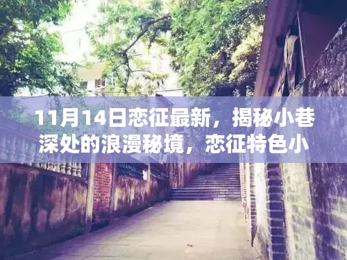 揭秘小巷深处的浪漫秘境，恋征特色小店的最新篇章（11月14日更新）