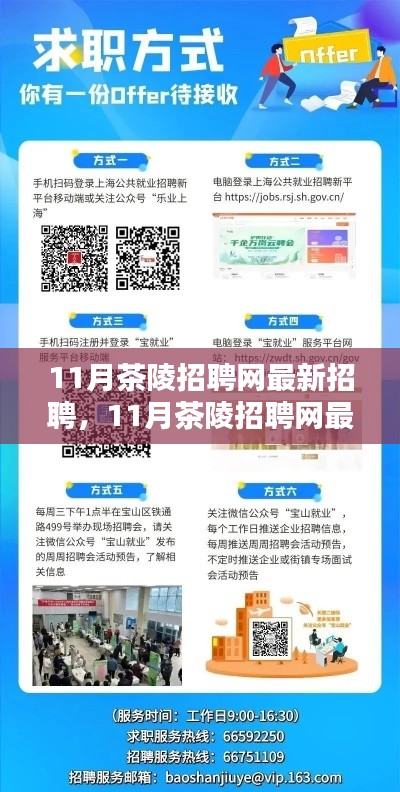 11月茶陵招聘网最新招聘全面解析与求职全攻略