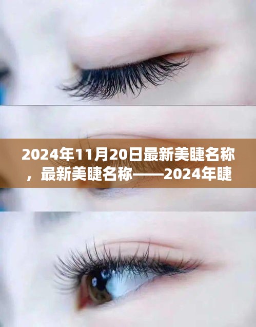 最新美睫名称揭秘，2024年睫毛美学的革命性变革