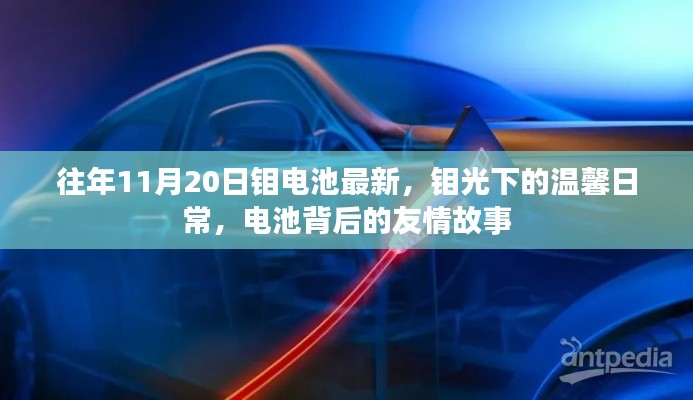 钼光下的电池世界，温馨日常与友情故事最新报道