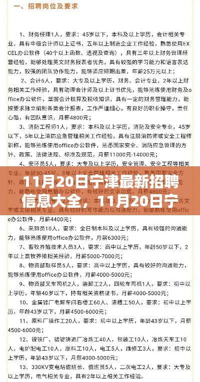 11月20日宁津最新招聘信息汇总，全面解读招聘平台特性与体验