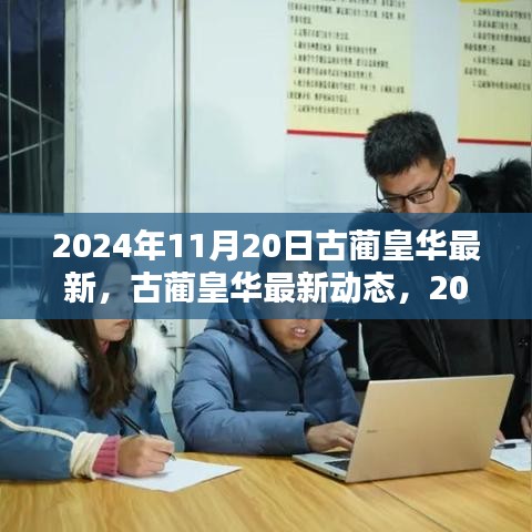 古蔺皇华最新动态深度解析，2024年11月20日报告