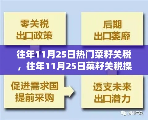 往年11月25日菜籽关税操作详解，入门到精通的步骤指南