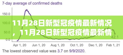 全面评测与深度解析，11月28日新冠疫情最新情况