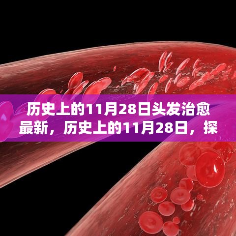 历史上的11月28日，探寻头发治愈的最新篇章🌟