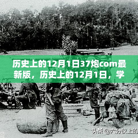 历史上的12月1日，体验最新版37炮软件的详细安装与体验指南