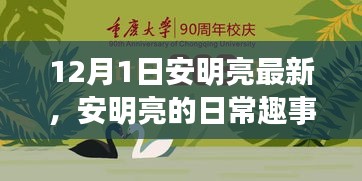 安明亮日常趣事，温馨时光回顾，12月1日的精彩瞬间