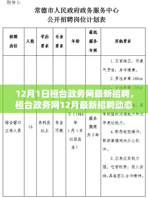 桓台政务网12月最新招聘动态，开启职业机遇之门