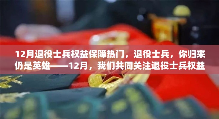 关注退役士兵权益保障，归来仍是英雄，共同前行之路在十二月揭晓