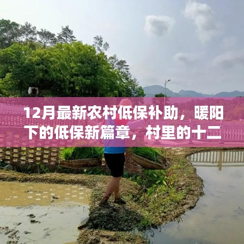 农村低保补助新篇章，暖阳下的十二月温情纪事